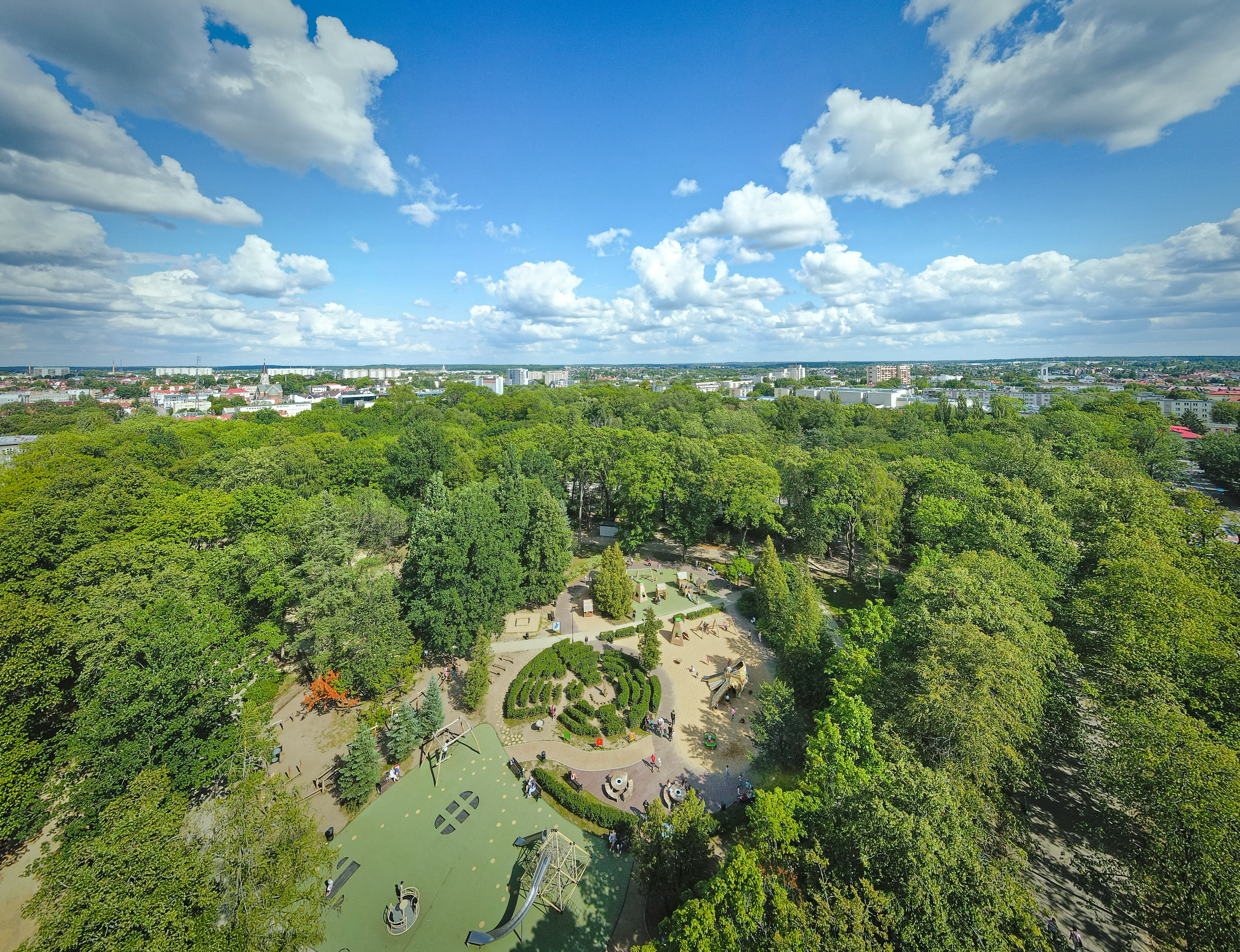 Owl in Bialystok 9