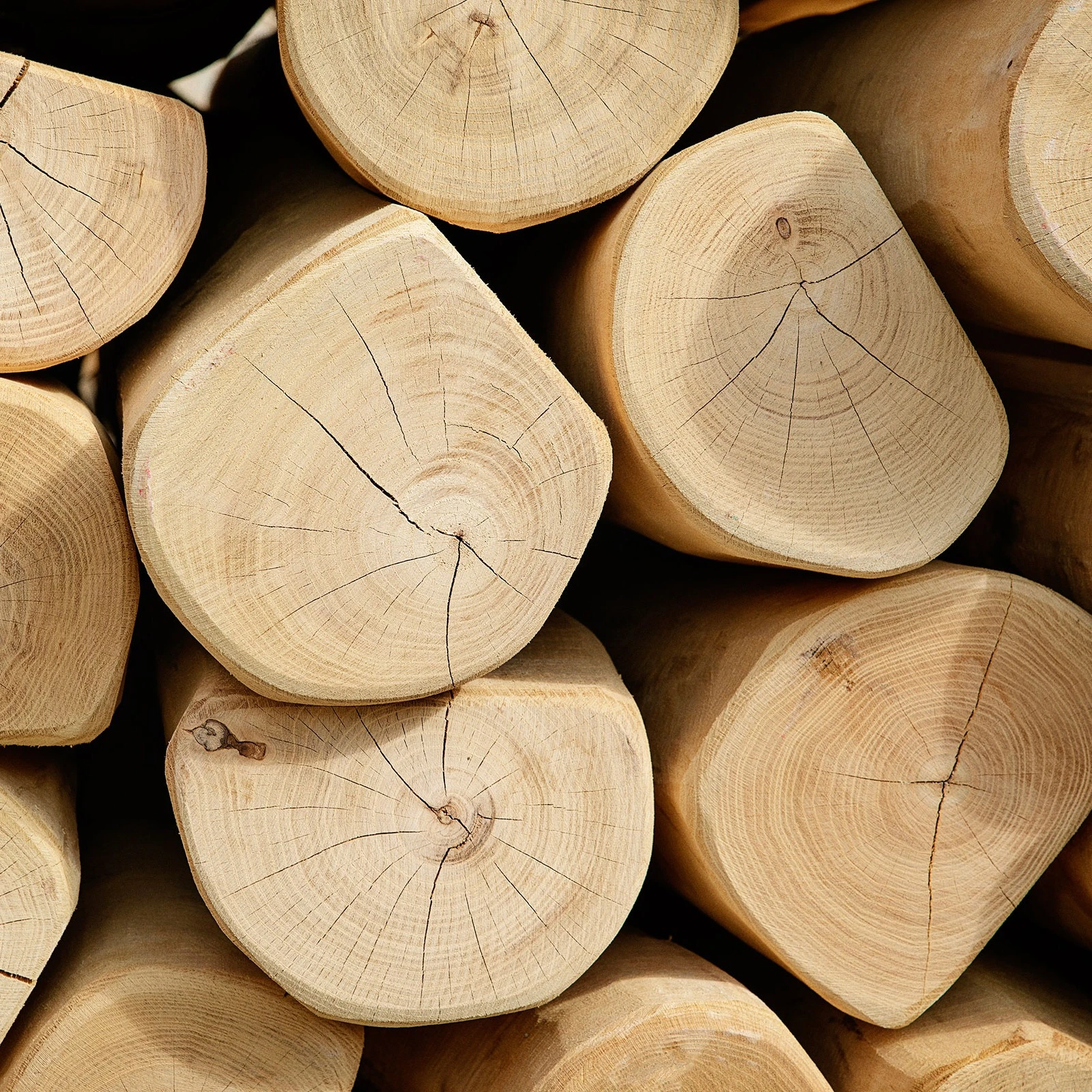 Robinia přírodní tvrdé dřevo používané na dětská hřiště