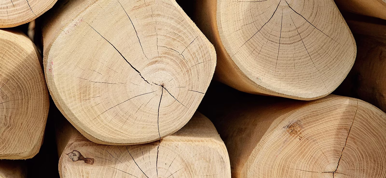 Robinia naturligt hårdttræ til legepladser