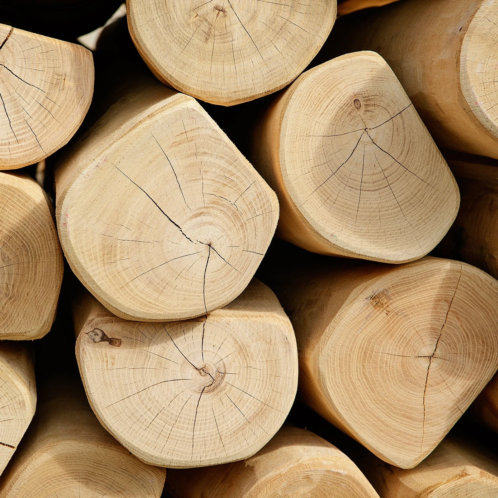 Bois dur naturel de robinier utilisé pour les aires de jeux