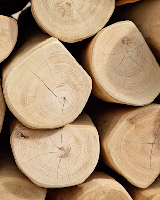 Robinia natural hardwood used for playgrounds