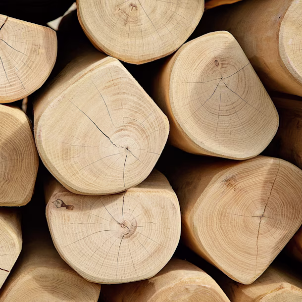 Robinia natural hardwood used for playgrounds