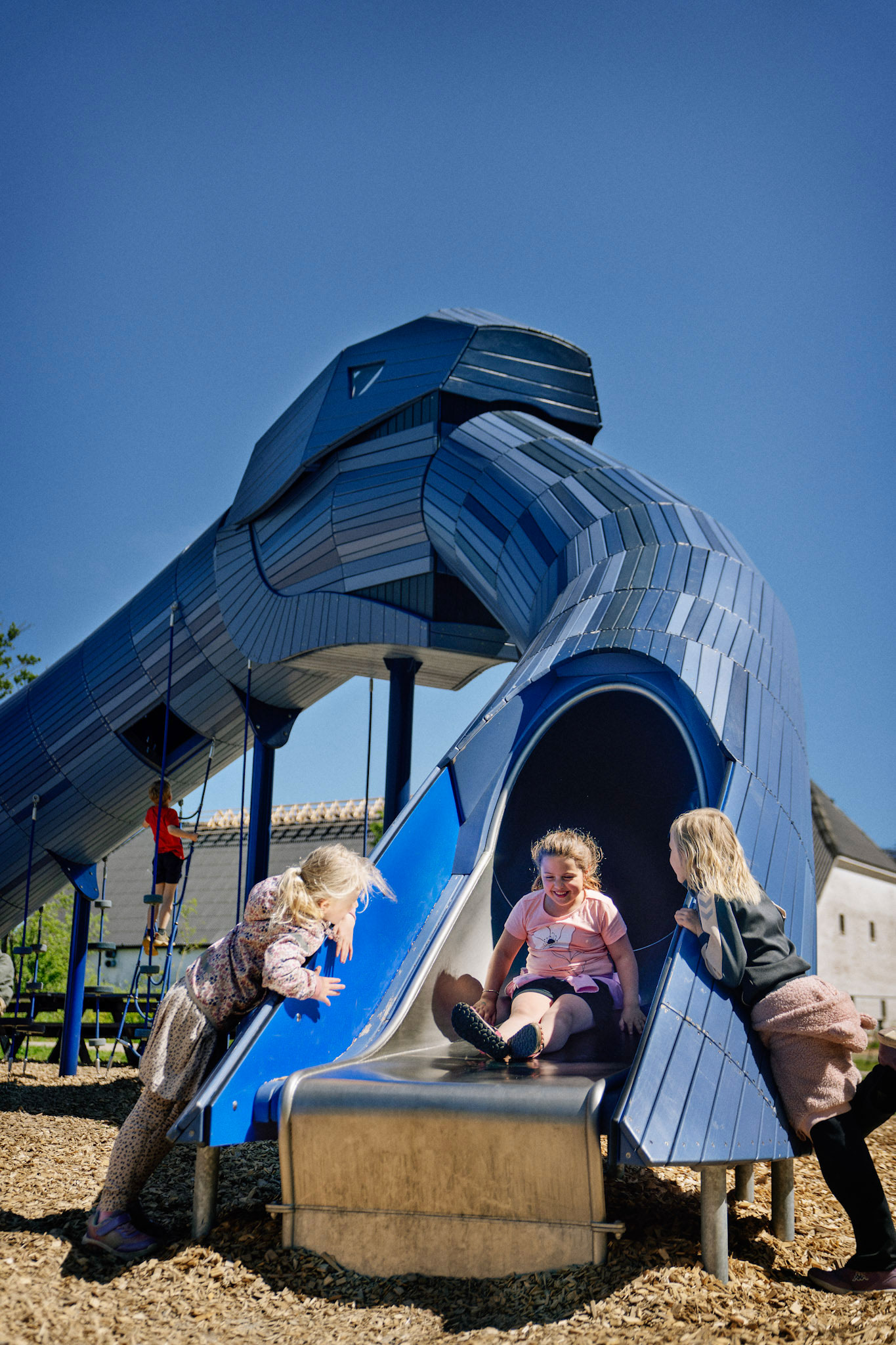 jelling DK image 4 ID c8903a0b