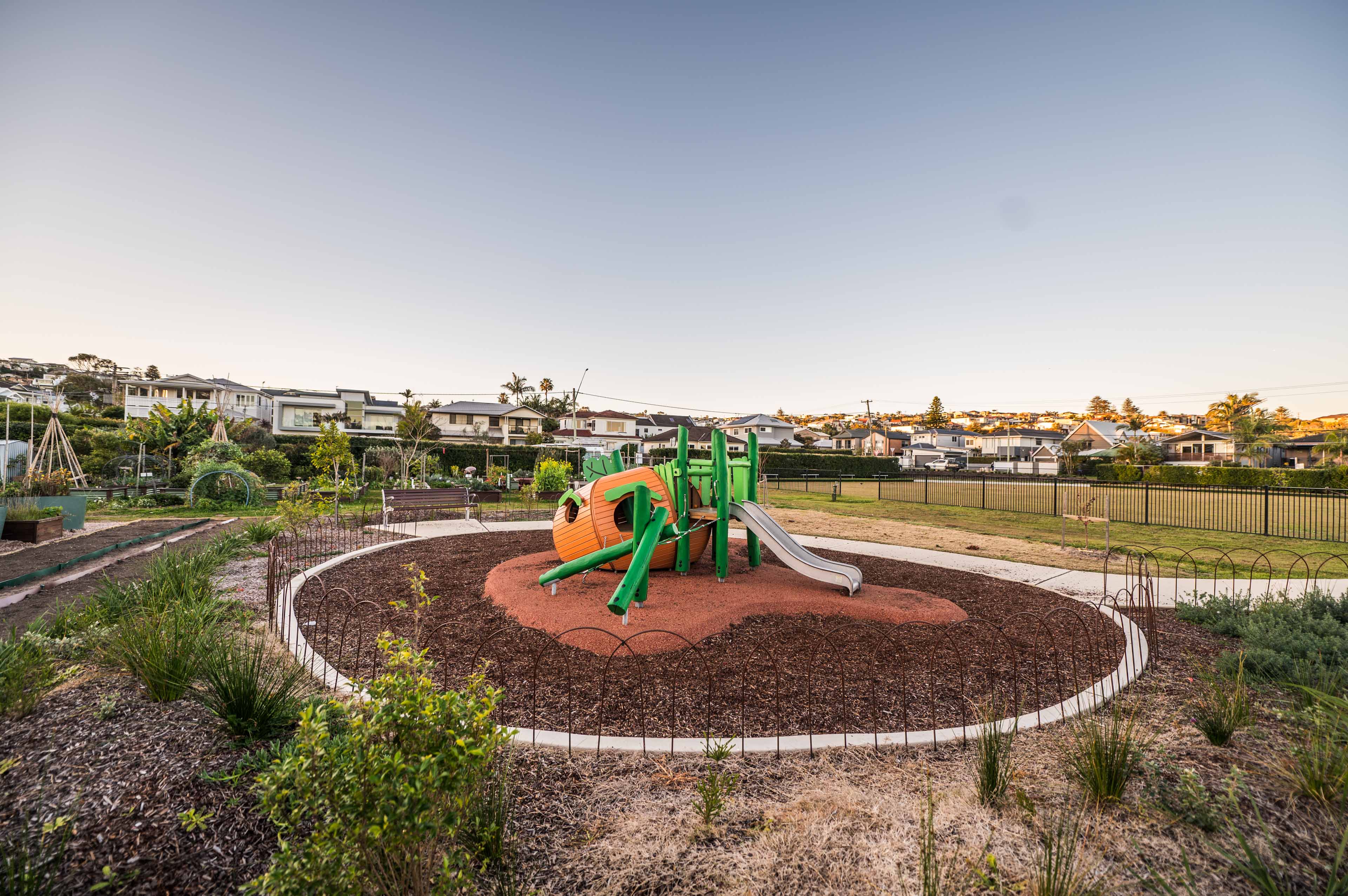 Curly Community Garden - Image 4