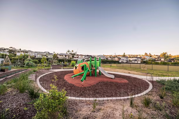 Curly Community Garden - Image 4