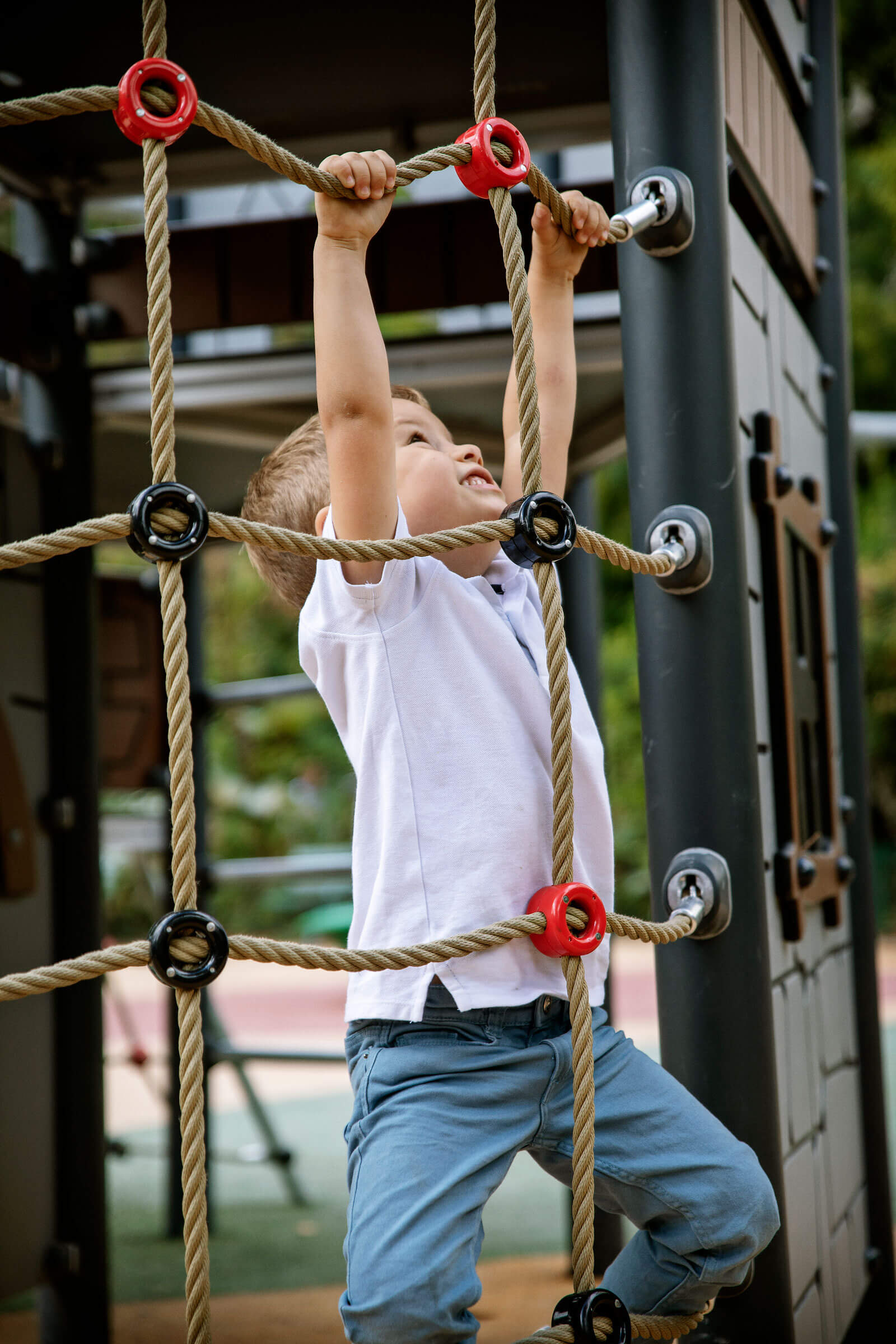 Jardin-de-la-ZAC-Didot image 2