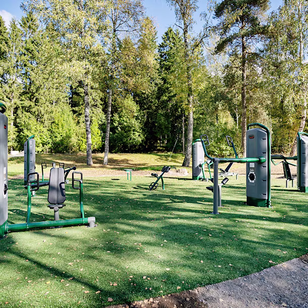Outdoor gym with green and grey exercise machines on artificial grass, surrounded by tall trees in a sunny forest park.