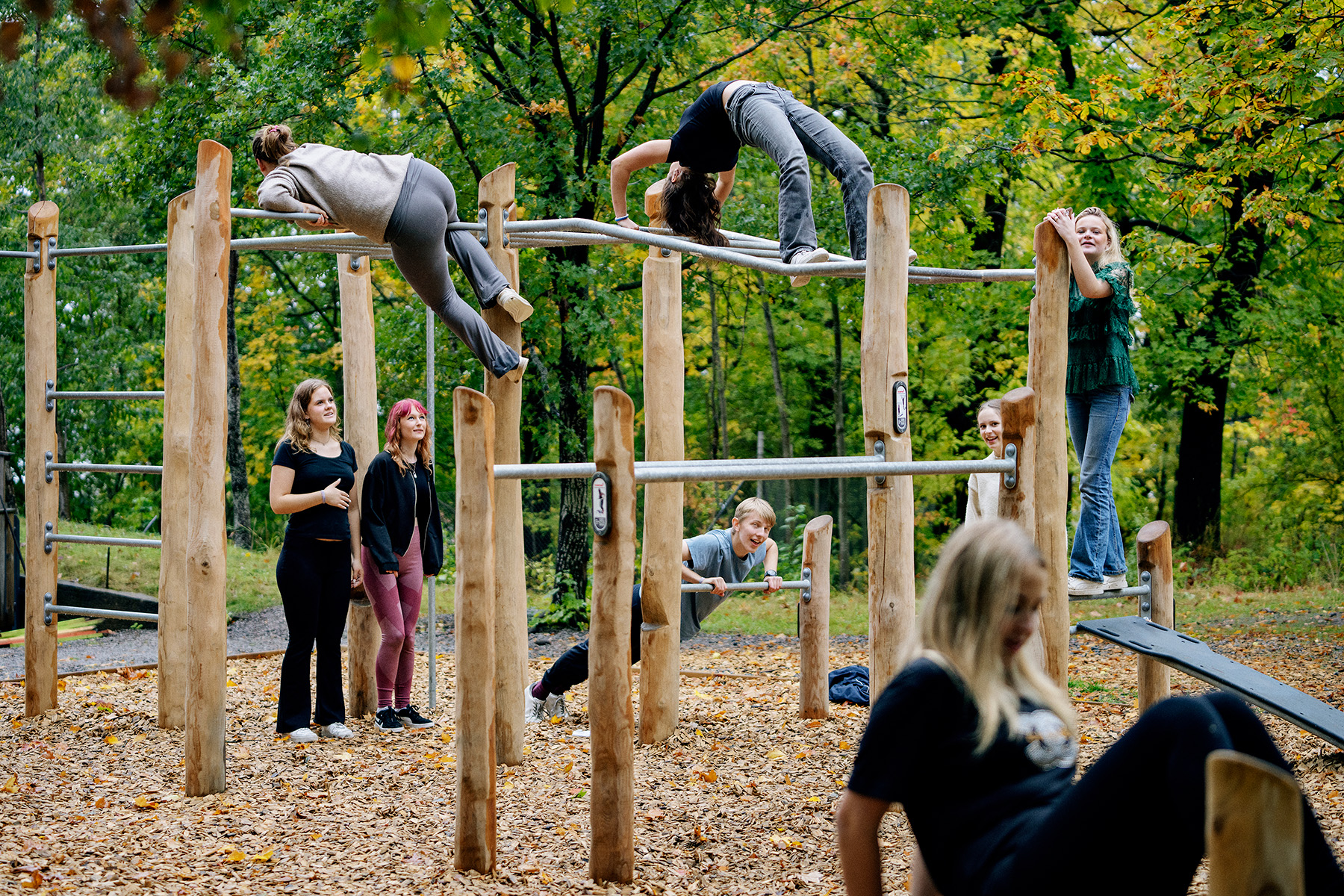 Rudolf Steinerskolan - Thumbnail