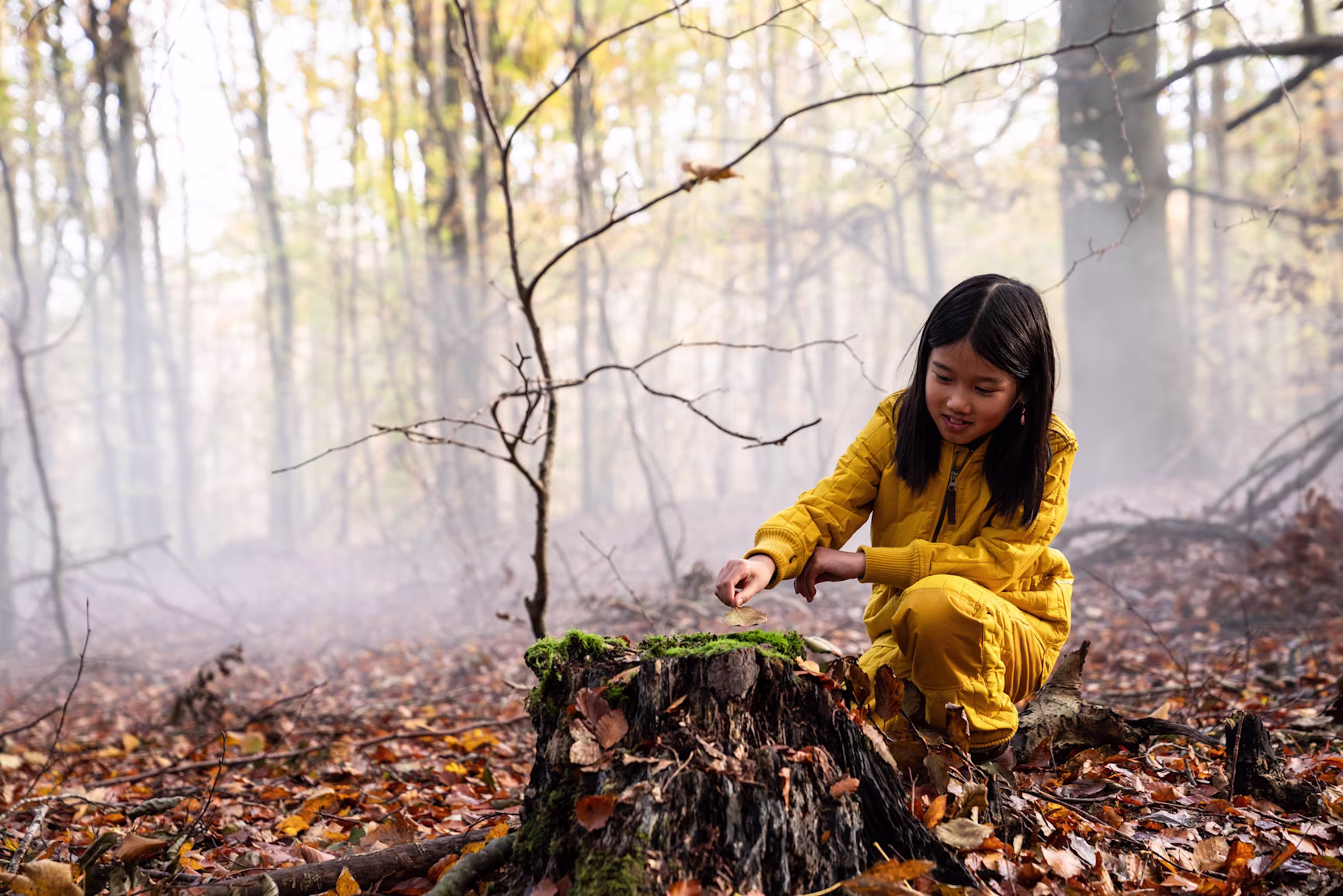 Green Article Play is nature