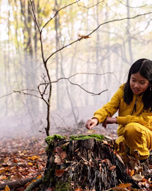 Green Article Play is nature