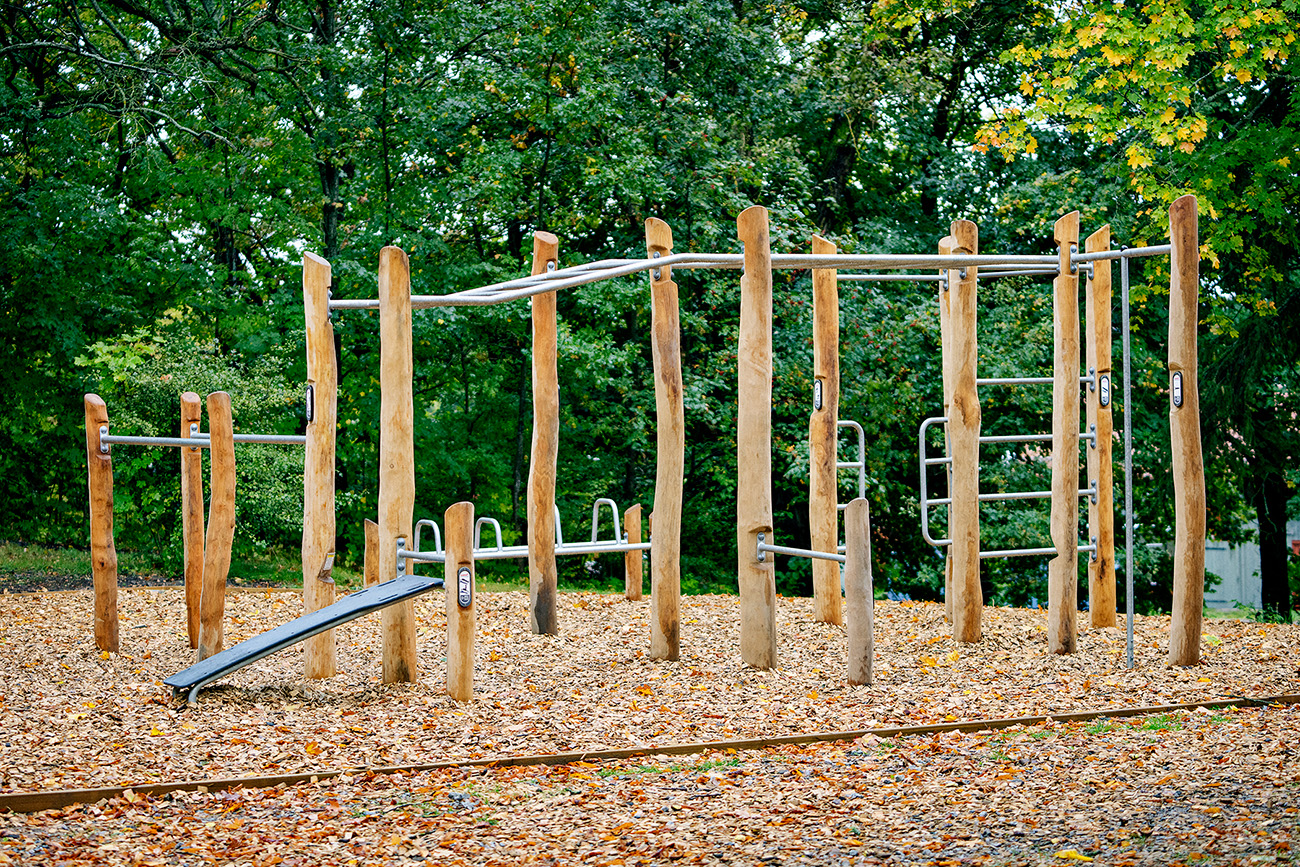 Rudolf Steiner - Image 3