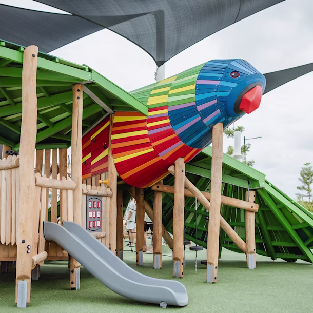 Lorikeet Themed Playground Structure