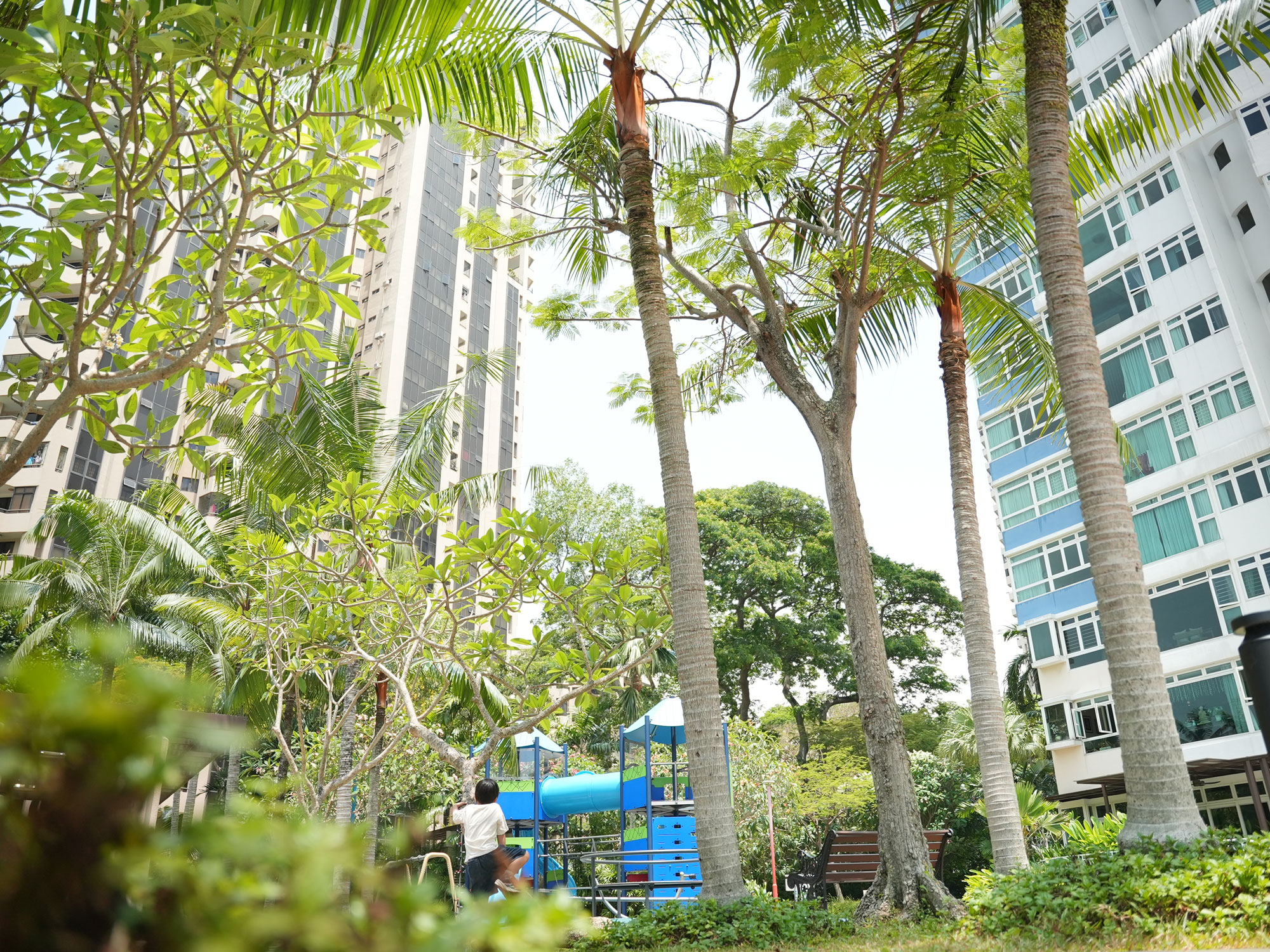 SG Costa 02Apr2026 ID-27d49c1e ca3509d3 DSC02678