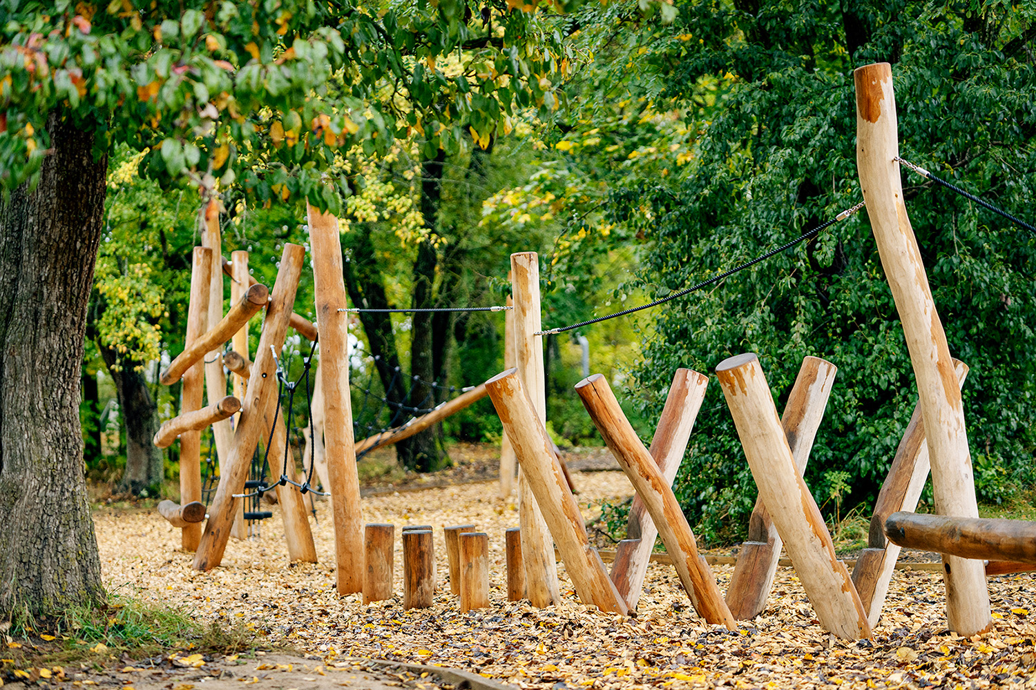 Rudolf Steiner - Image 8