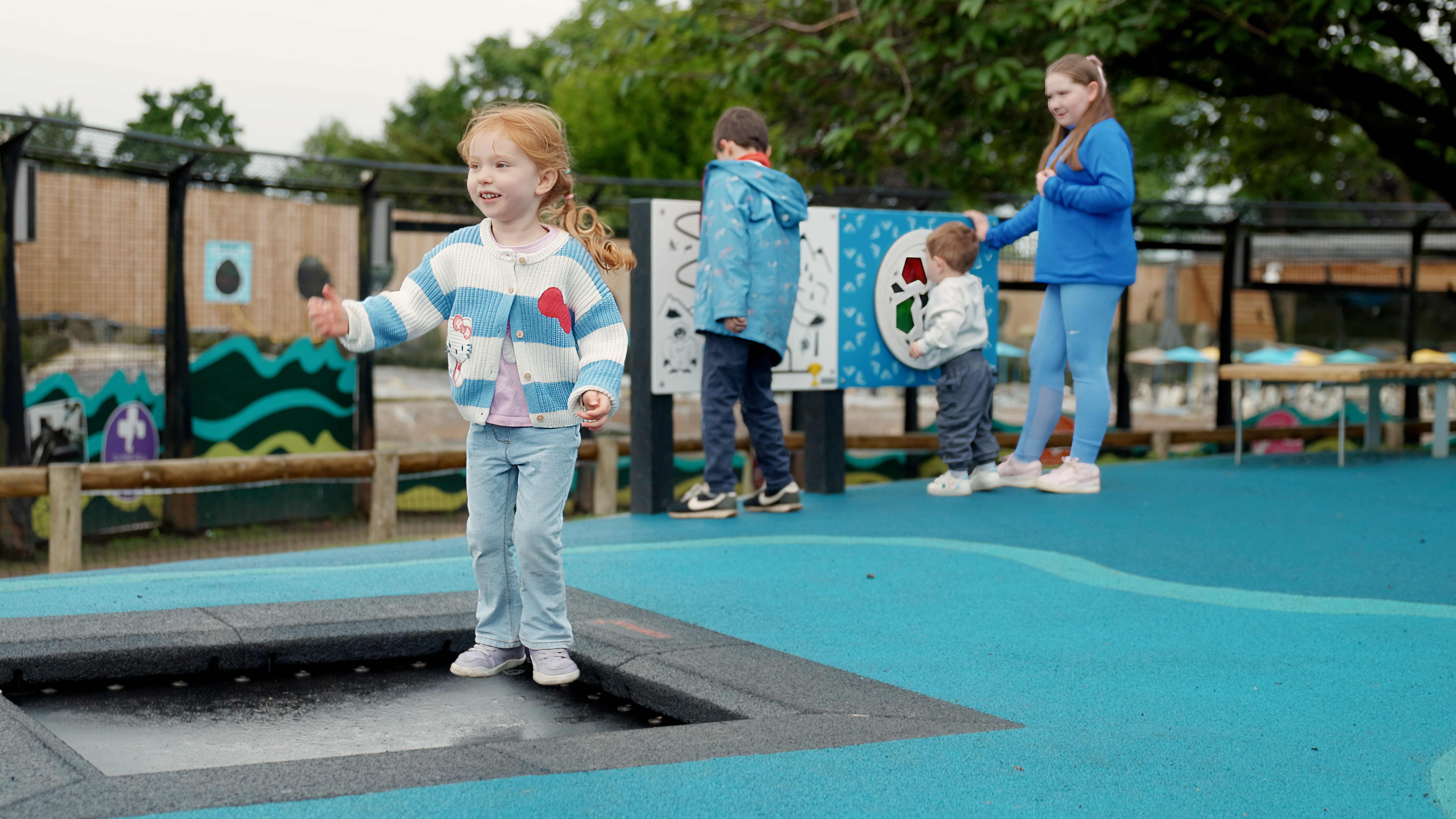 KOMPANSC_ EdinburghZoo_SC17204_5971e01e_53f9aef0_142e53d2_63f3aa5c_142e53d2_4126401e_2