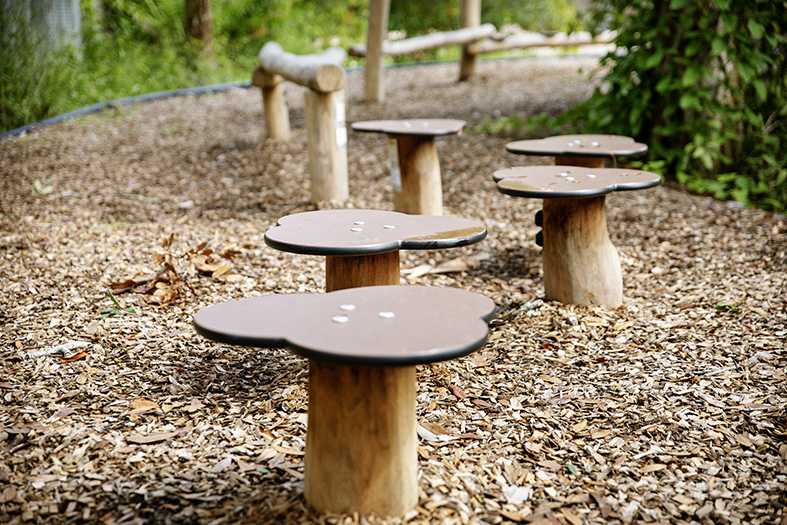 3. Playground safety regulations