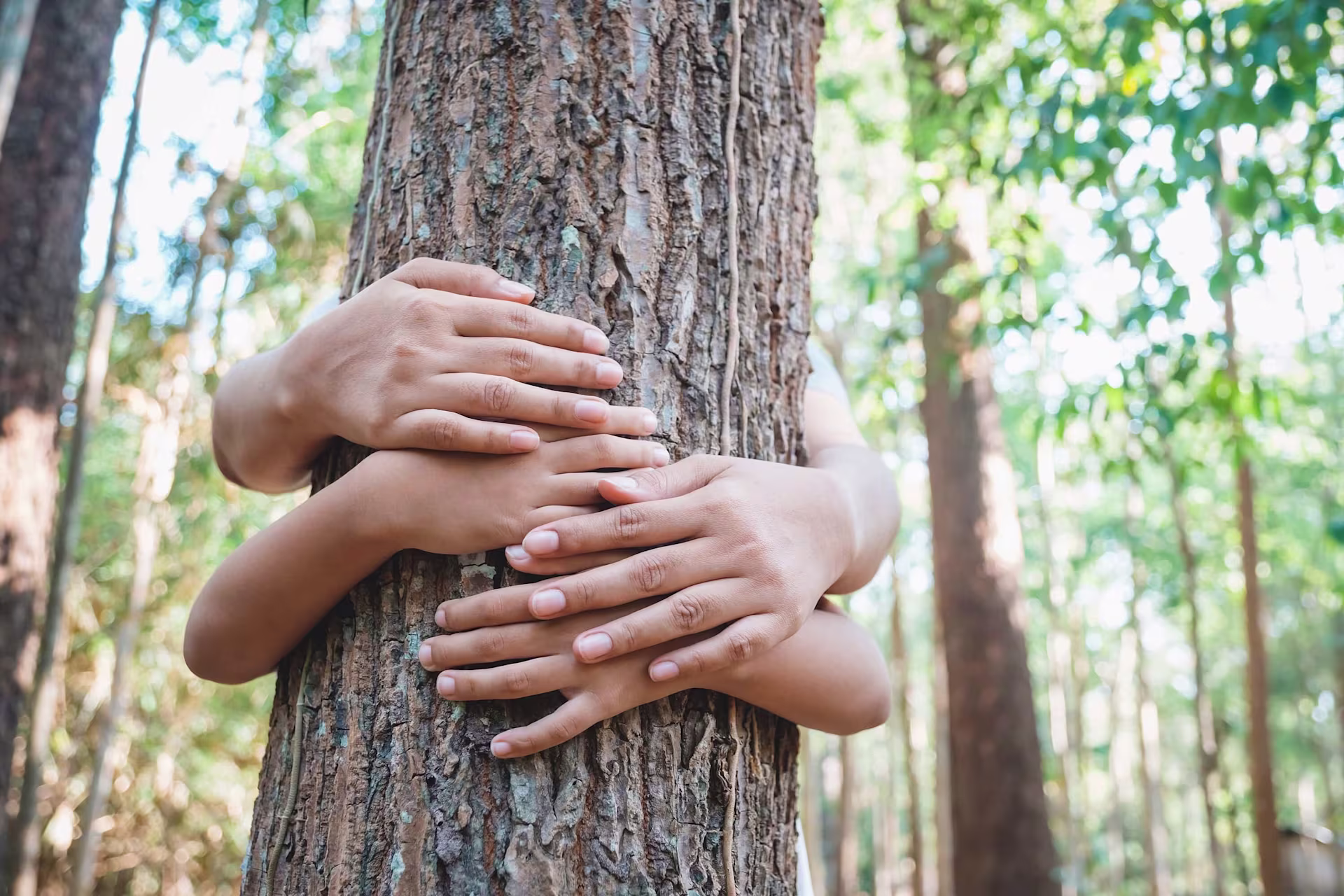 tree-green shutterstock