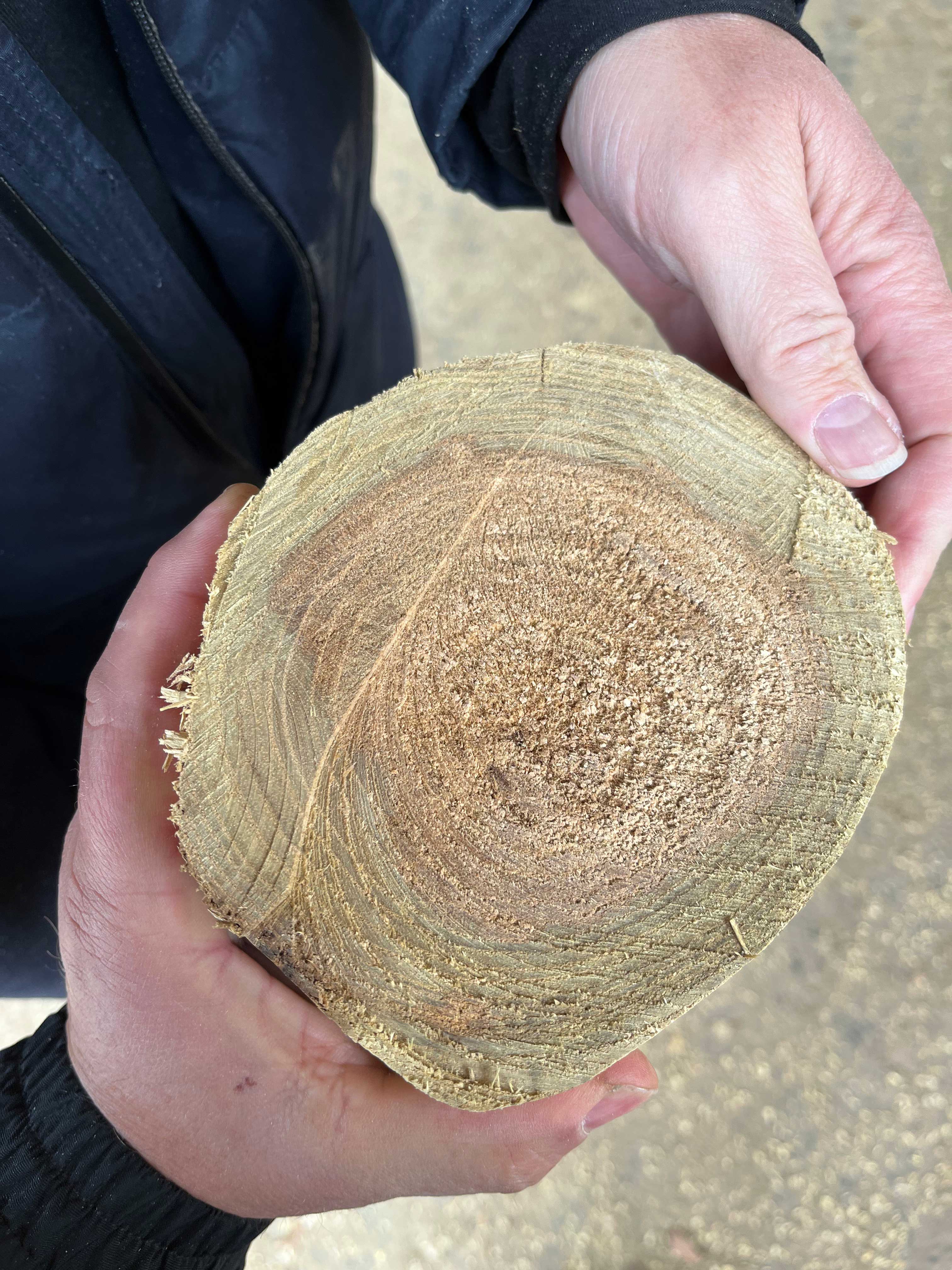 Durable naturellement 