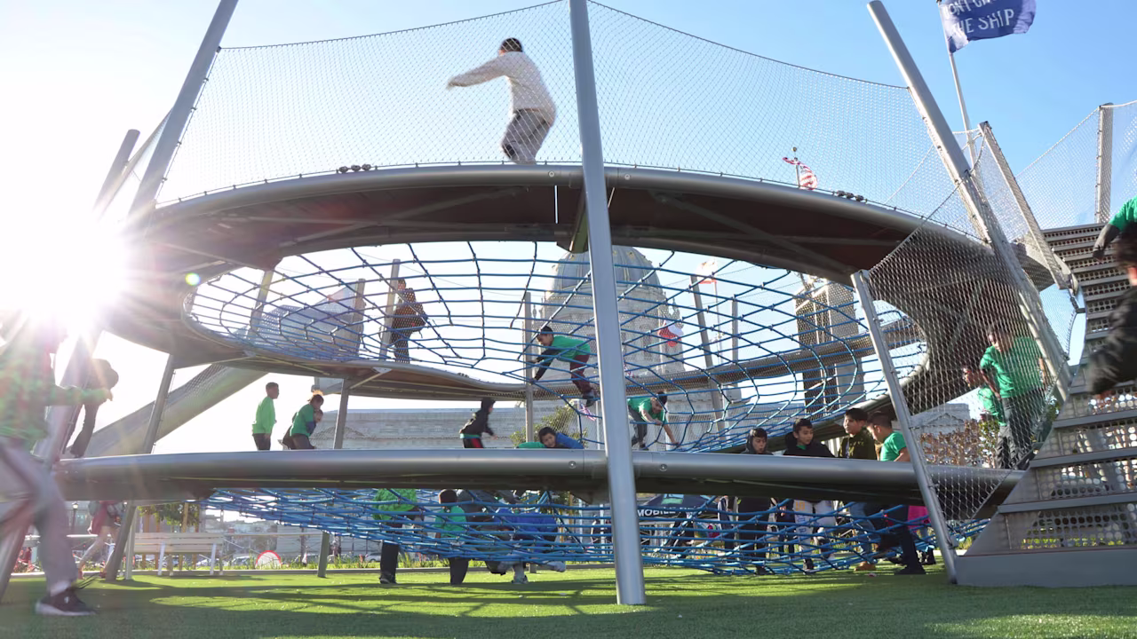 frog-perspective helen-diller