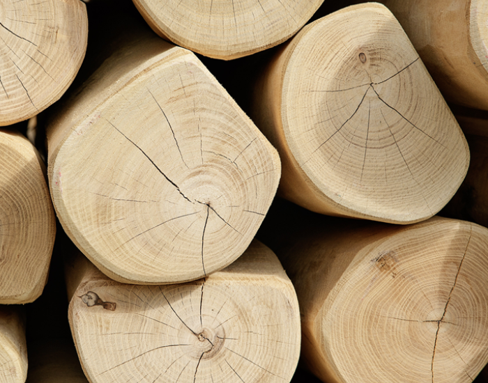 Close-up of stacked cut logs showing light wood grain, growth rings, and natural cracks in a tight, orderly arrangement