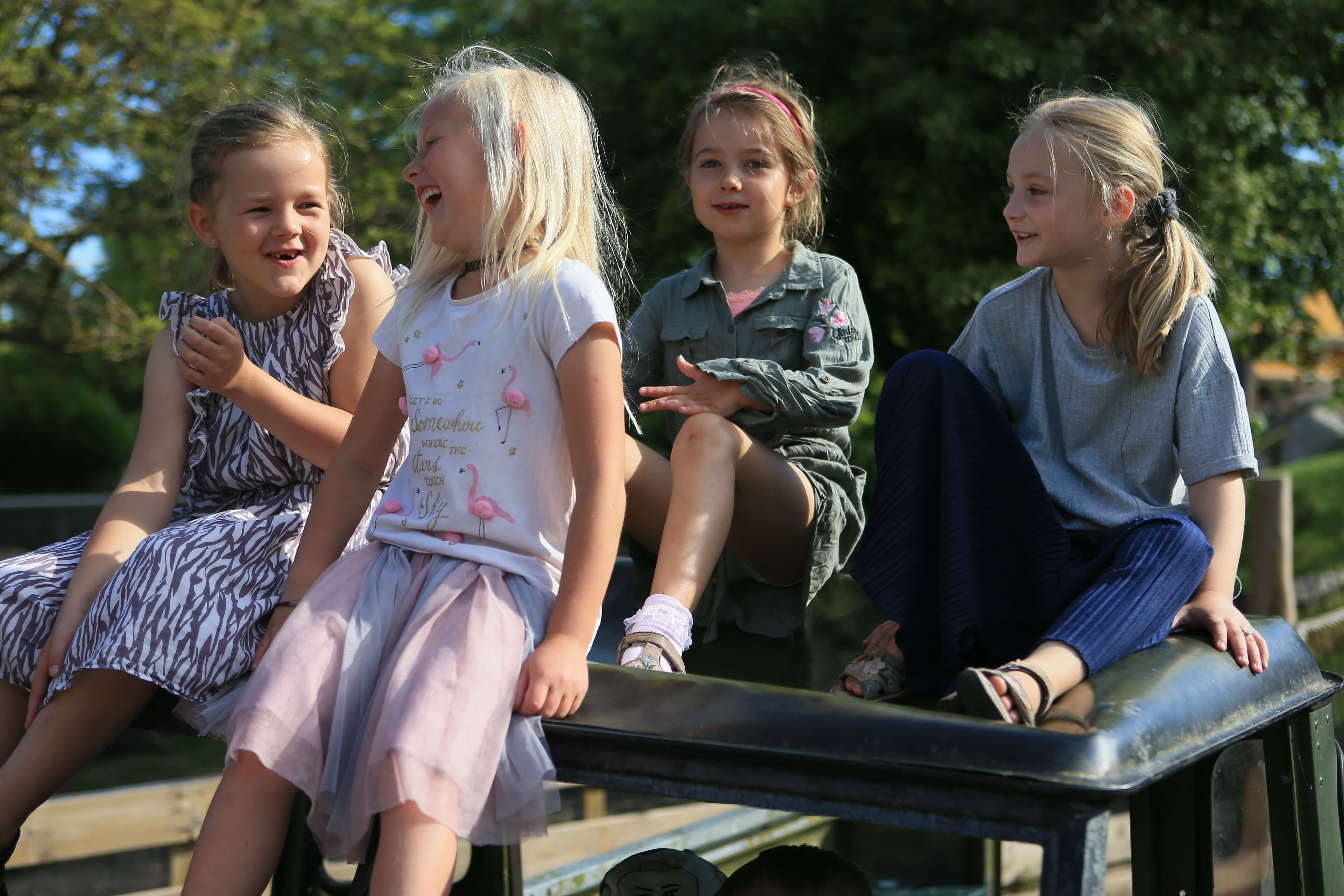 Copenhagen Zoo HappyKids