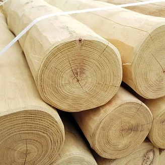 Robinia lumber used to create natural playgrounds