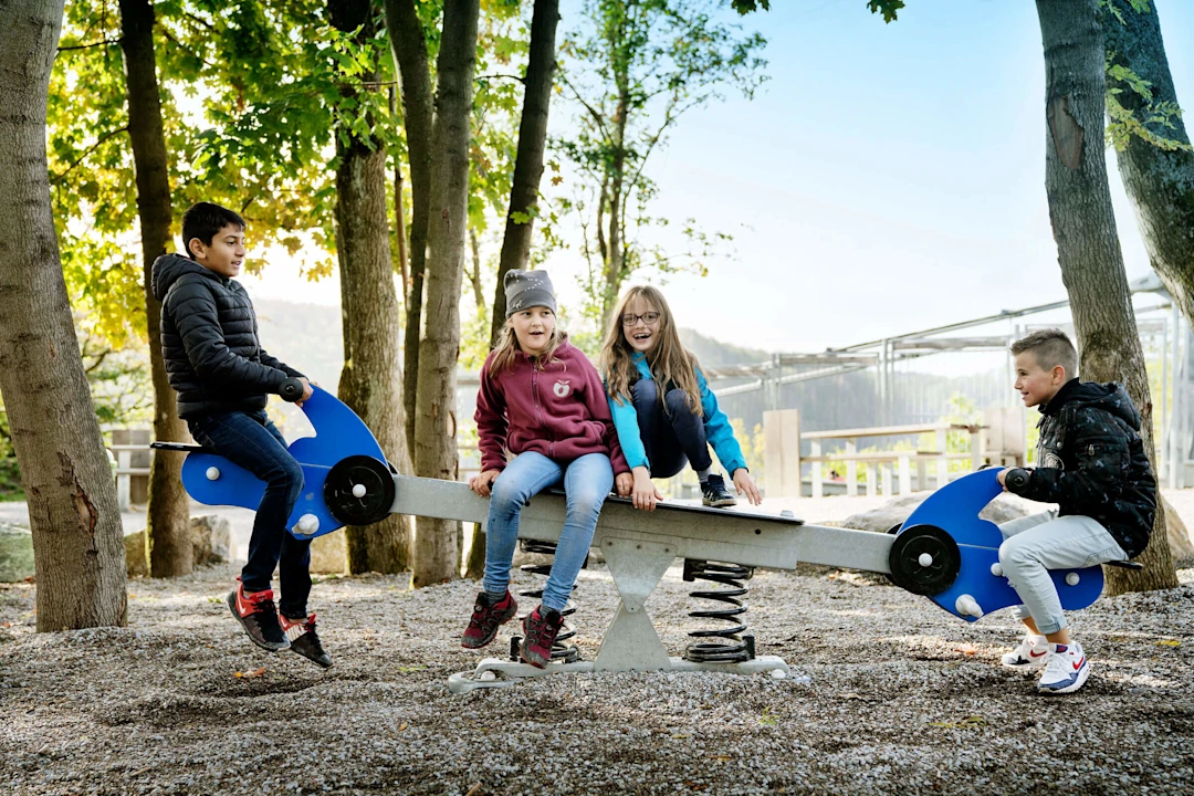  Harzdrenalin adventure park playground 