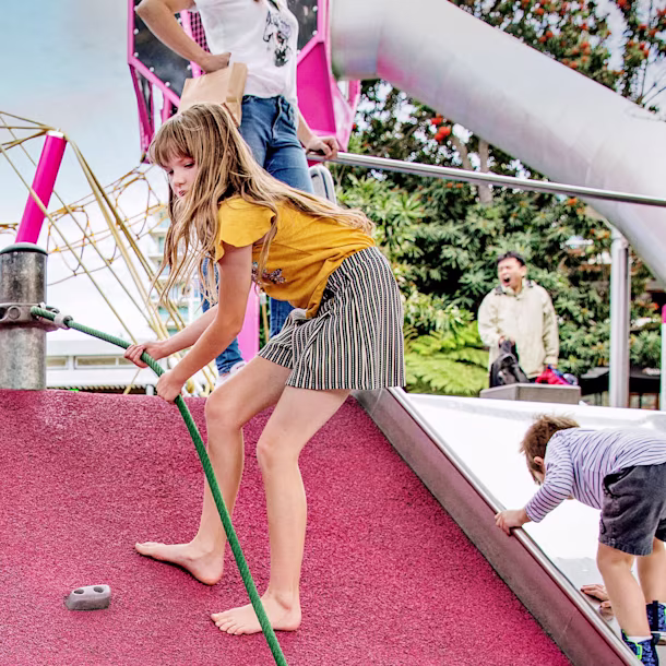 Embankment Slides & Ropes