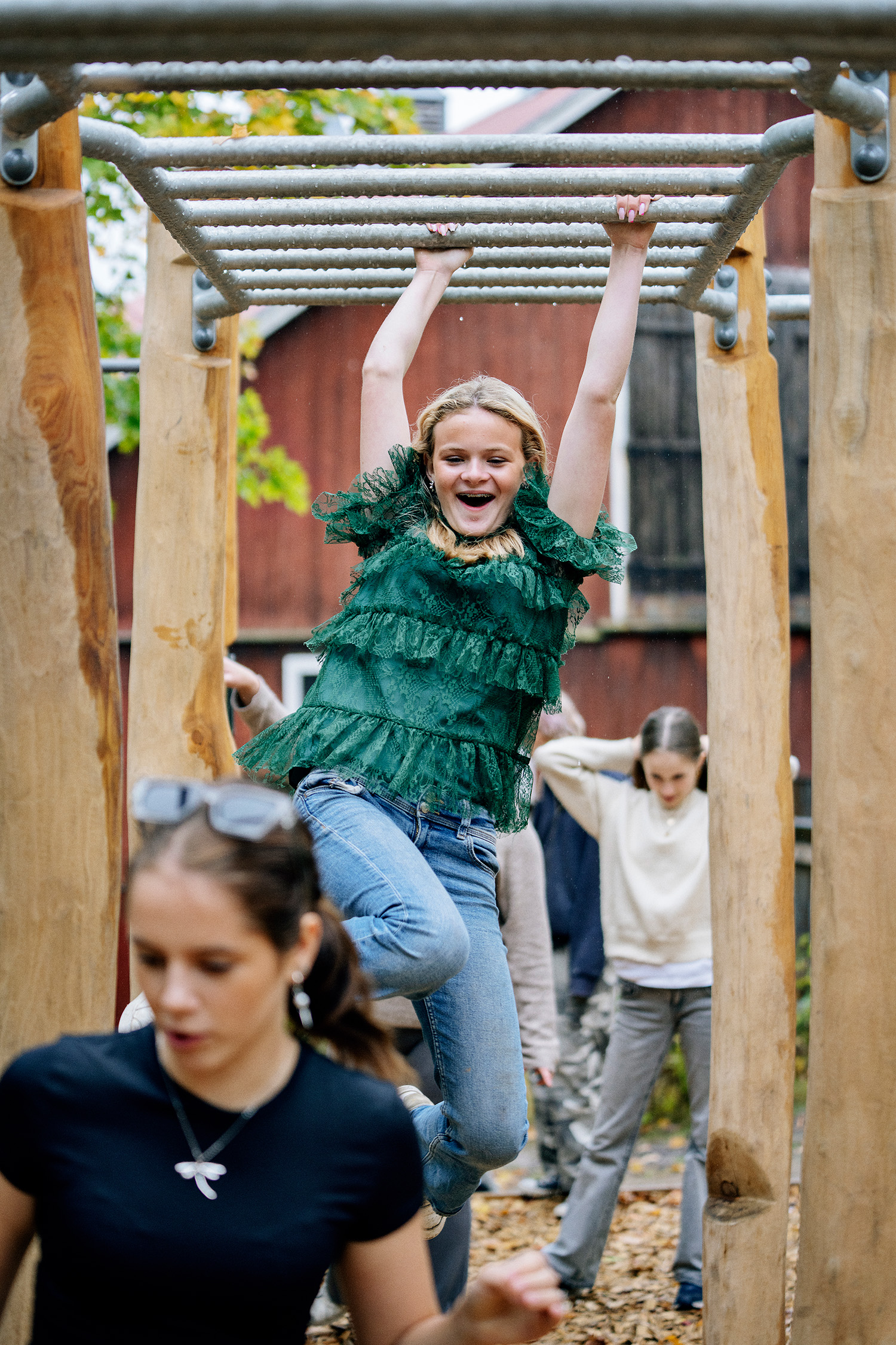 Rudolf Steiner - Image 9