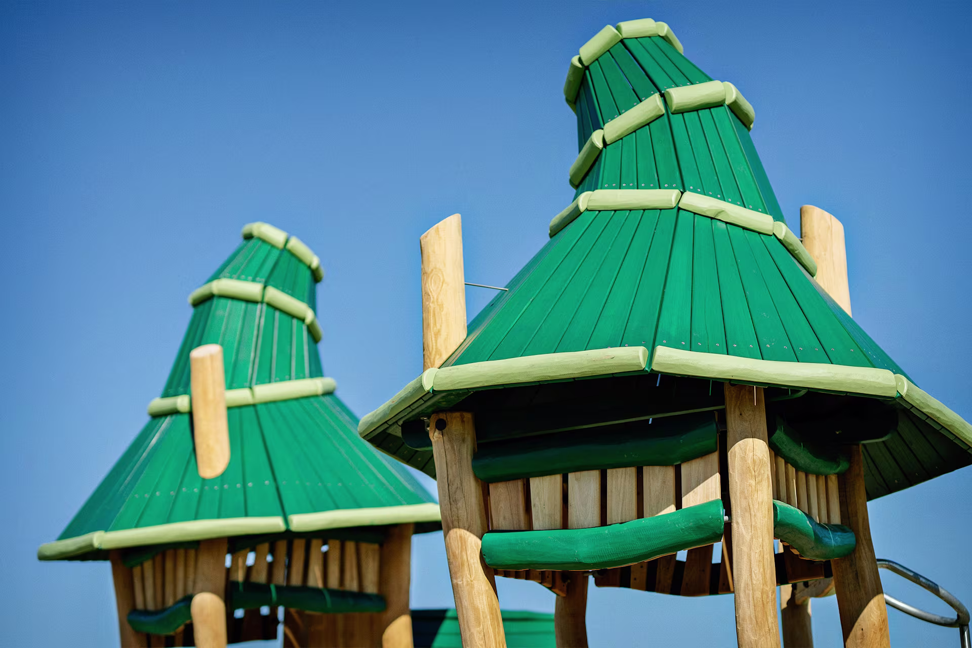 Robinia-fantasy-roofs