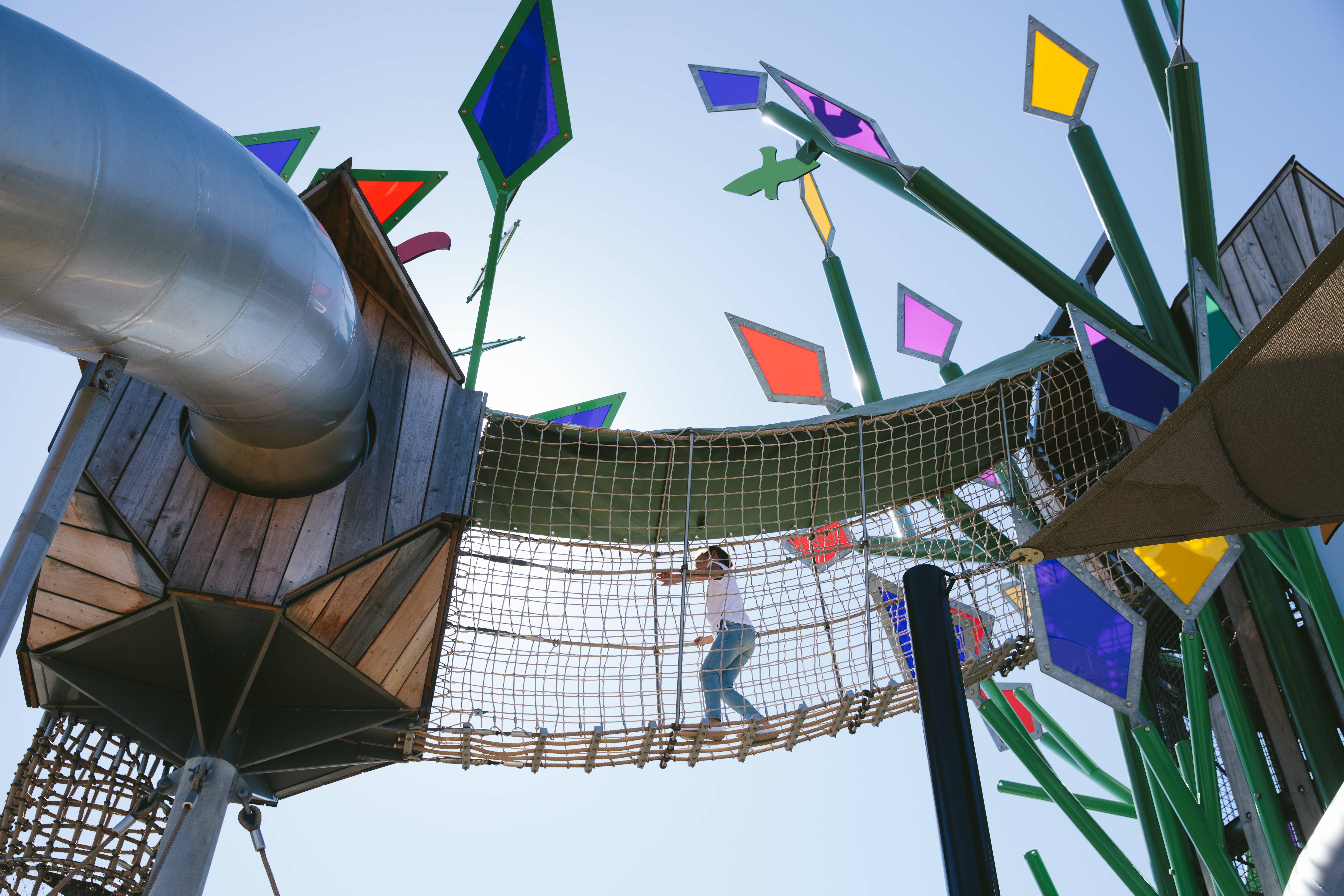 Z9A1212Costumer Case - Aura Treehouse - Image 4