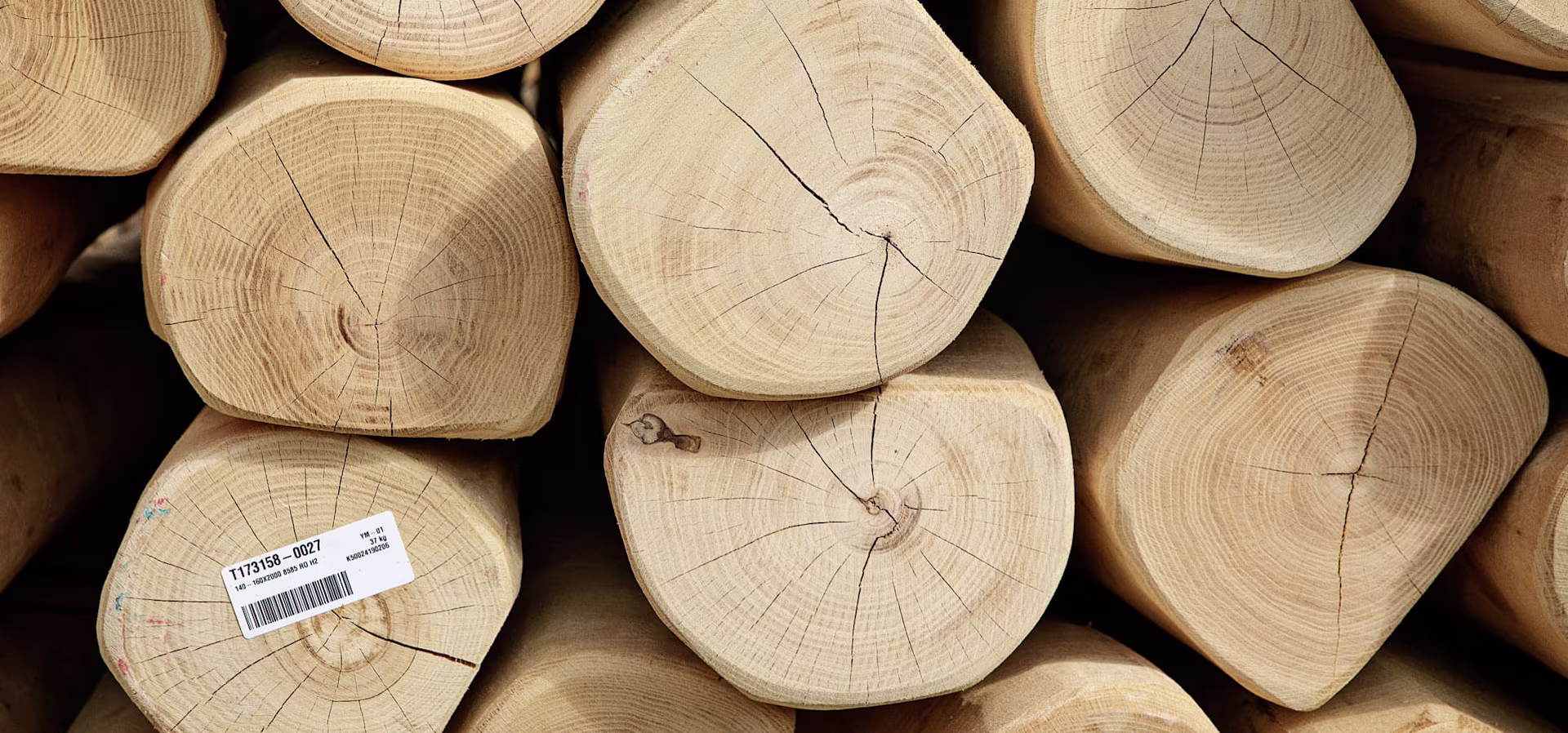 Robinia wood materials