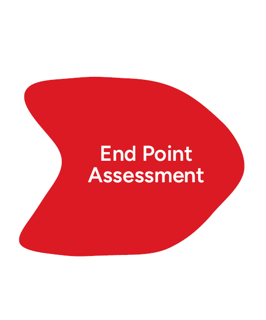 Red abstract blob shape on white background with white text reading “End Point Assessment” in the centre