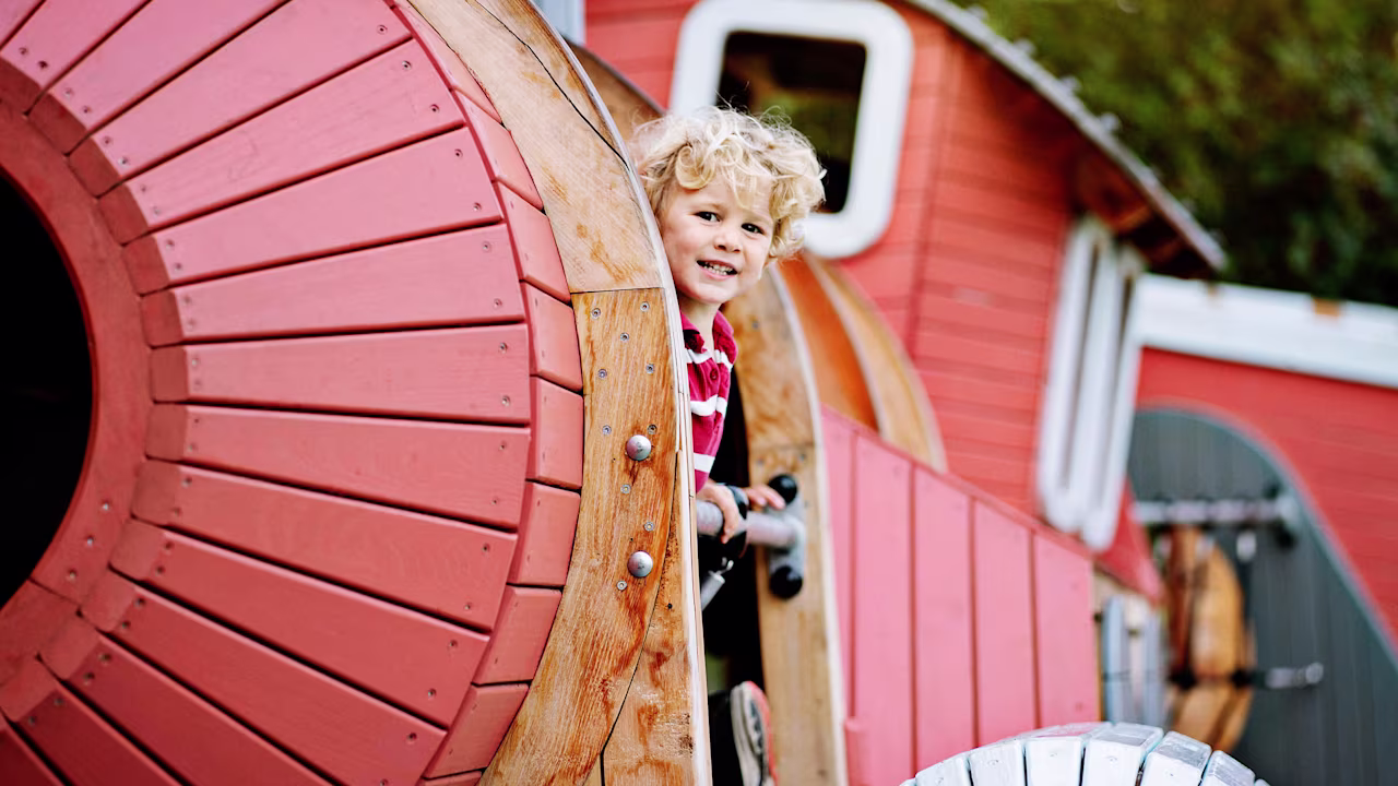 KDSR FR Robinia train 6