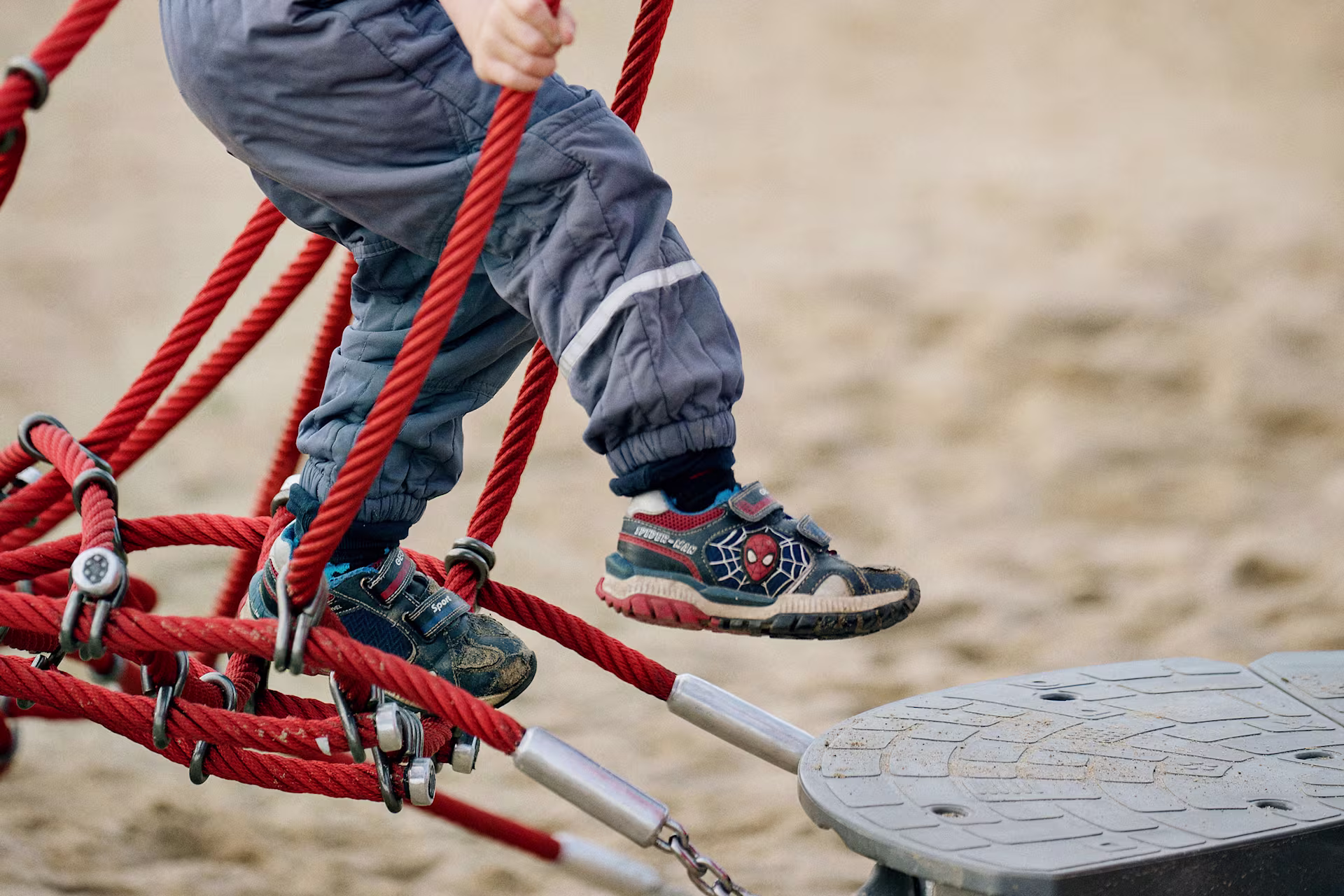 Monkey-trails-mini steps 230926 226b8750 070141a5