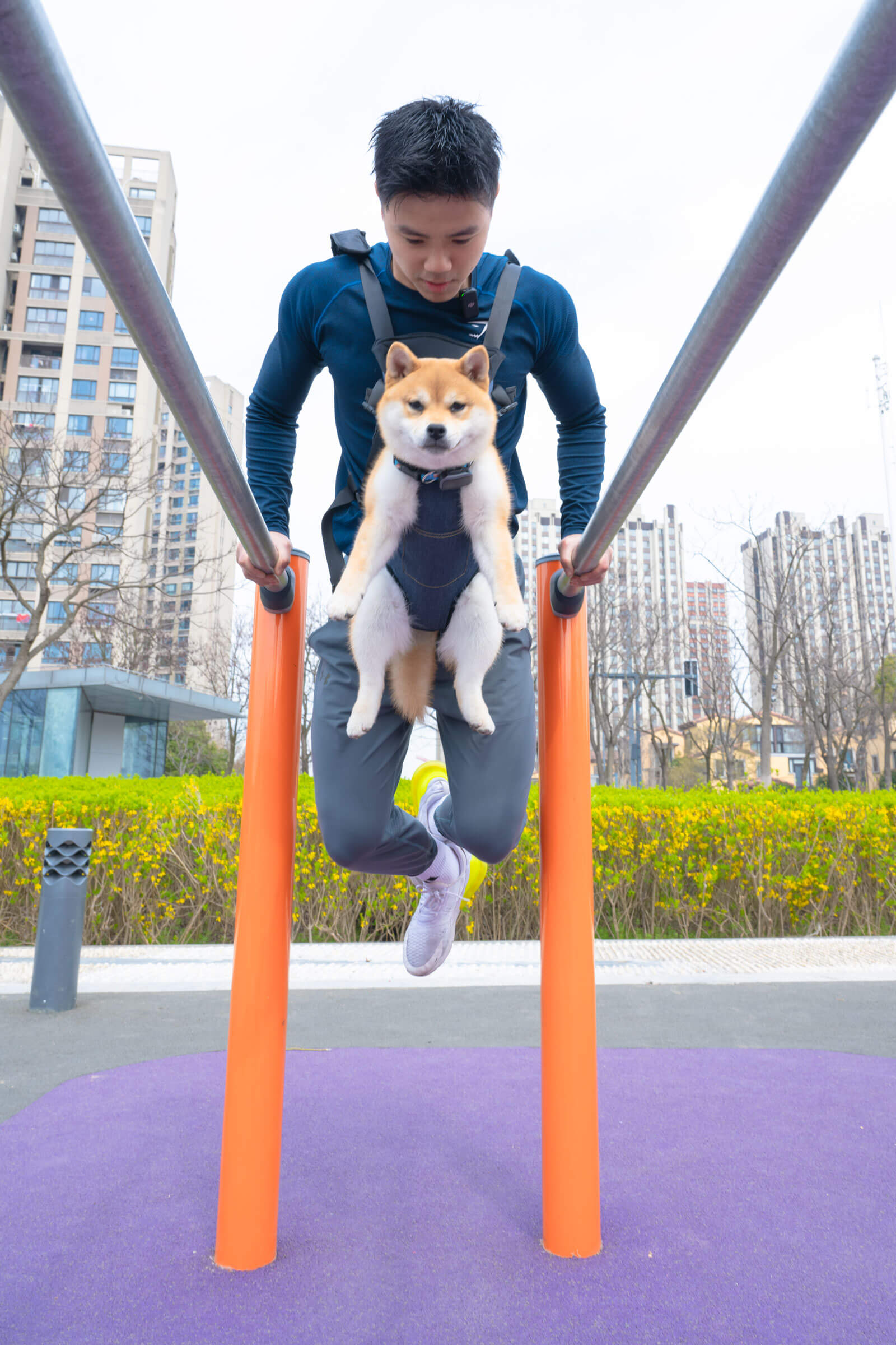 Zi-Qi-Dong-Lai-Park image 2 ID aeef1b2b