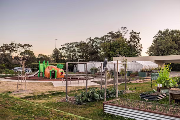 Curly Community Garden - Image 1