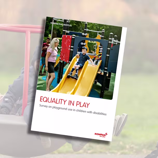 Research - Inclusive play - Case Image 4