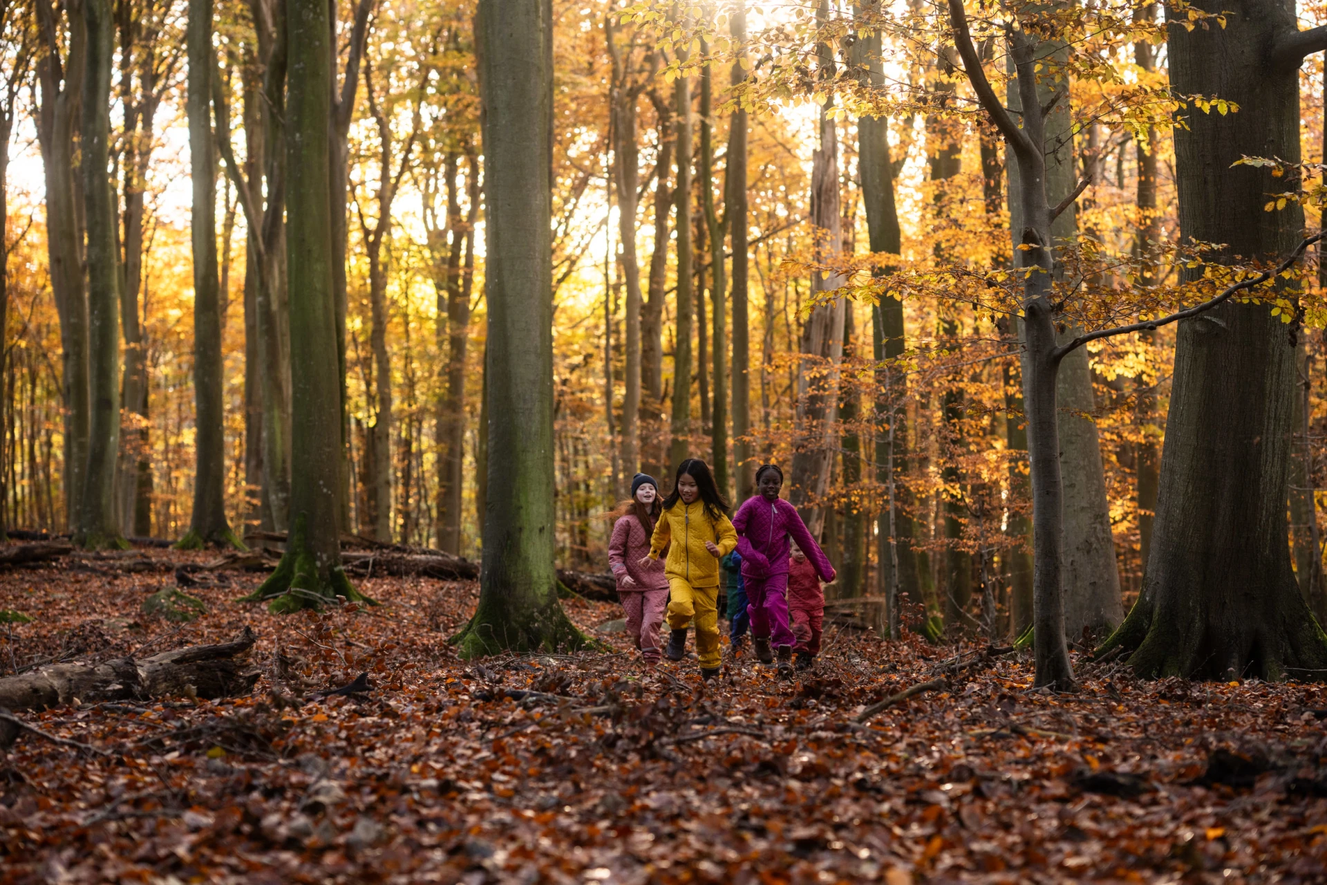 children running through a forest in fall