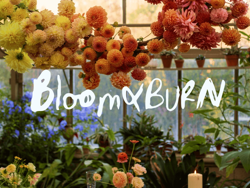 Bloom & Burn BrandingFeature Image