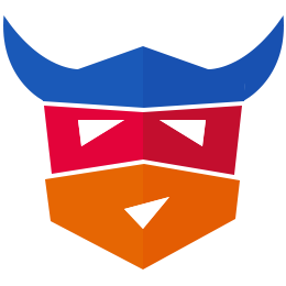 ngVikings logo