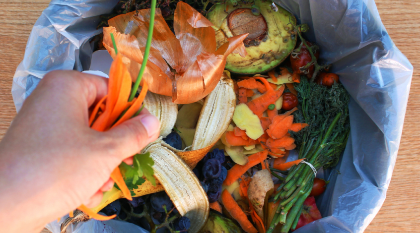 Food waste in hospitality: why it matters and how to avoid it | Verive