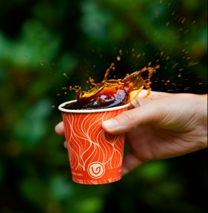 Compostable drinks cup
