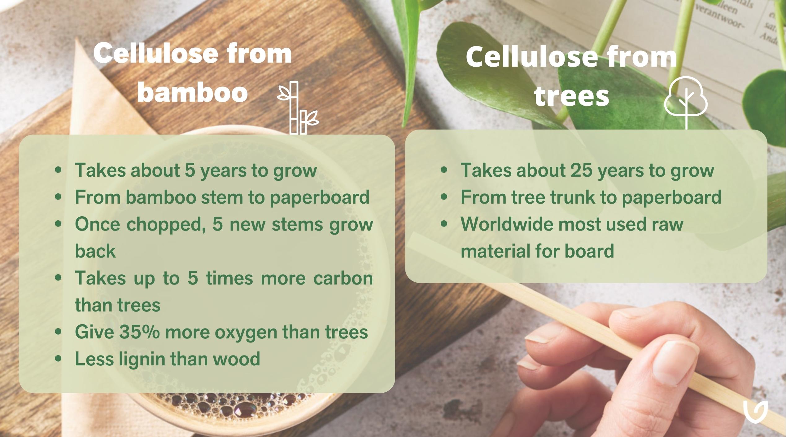 Bamboo vs. trees