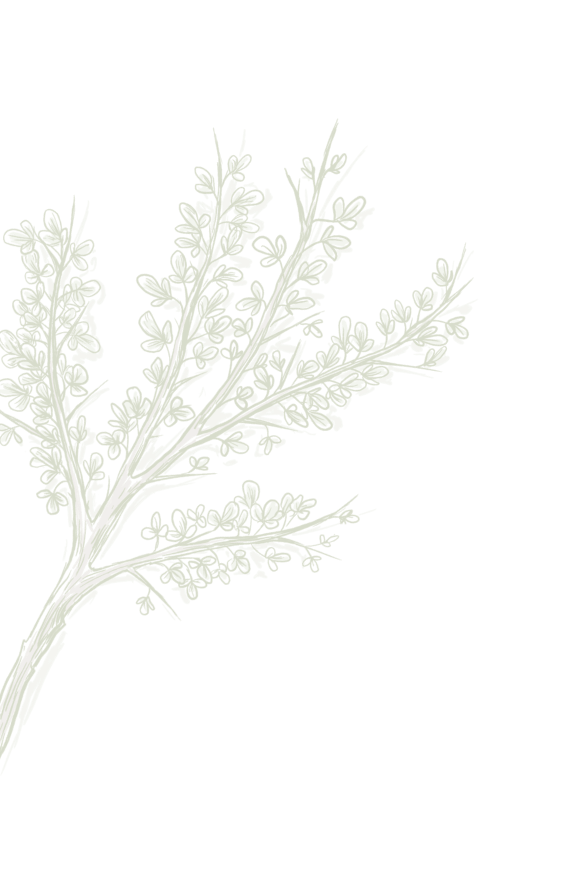 bionorica