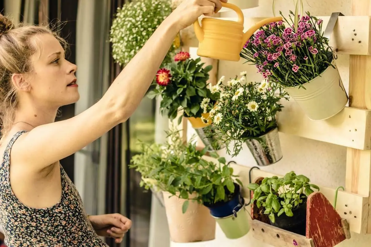 Een vrouw geeft planten aan een rekje water | Une femme arrose des plantes sur un support