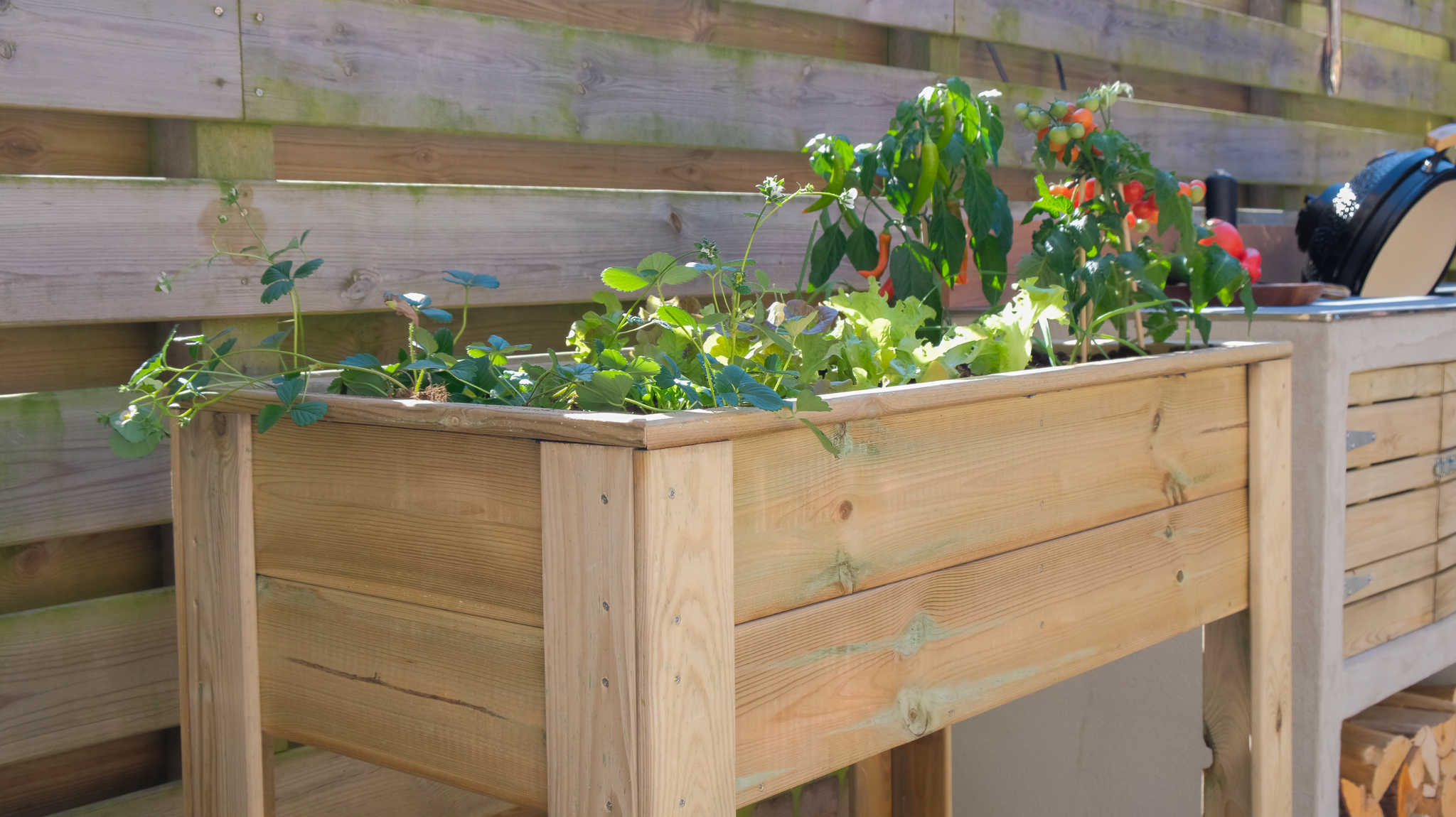 Zelf een moestuinbak maken