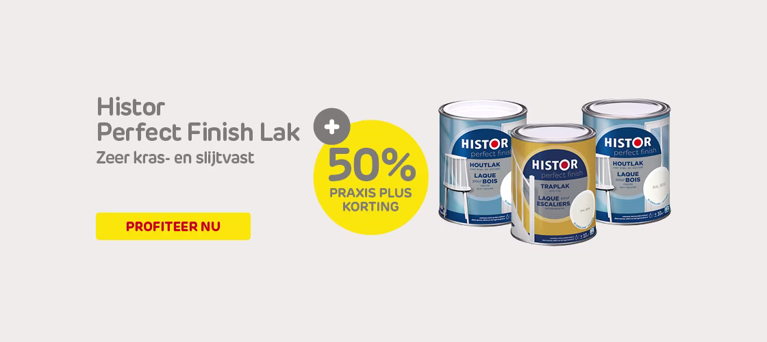 241227 RMB_Histor Perfect Finish_Desktop_550x800.jpg