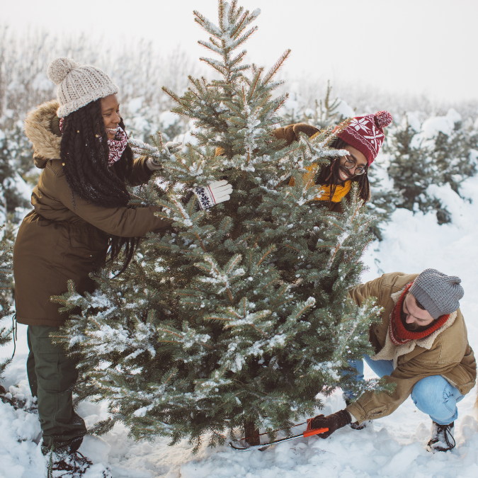 Vrienden kiezen een kerstboom uit | Des amis choisissent un sapin de Noël