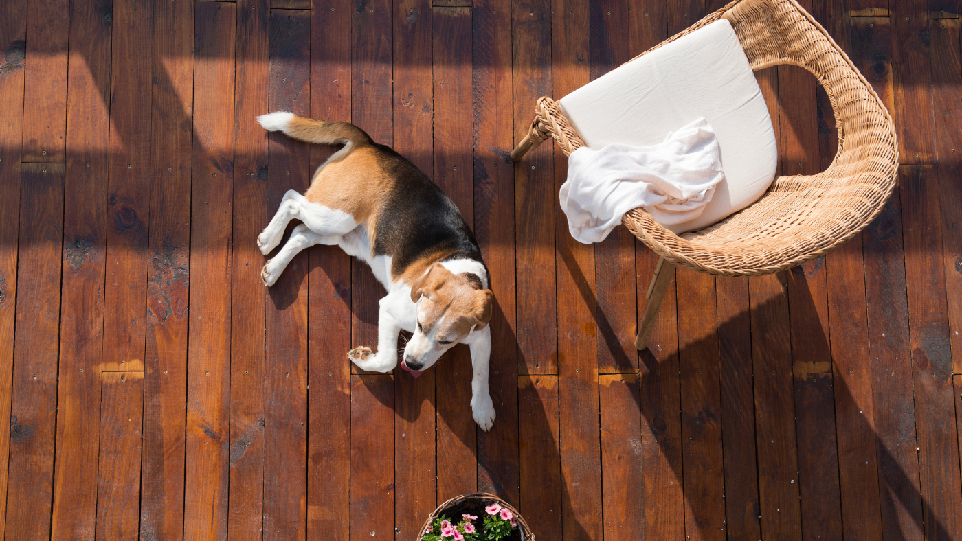 Entretenir votre terrasse en bois